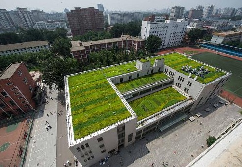 山东塑料植草格价格与供应产品解析——泰安成润土工合成材料